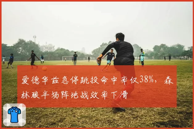 爱德华兹急停跳投命中率仅38%，森林狼半场阵地战效率下滑