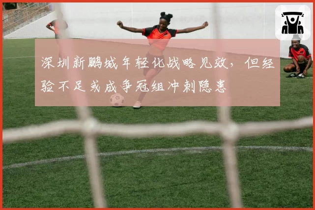 深圳新鹏城年轻化战略见效,但经验不足或成争冠组冲刺隐患